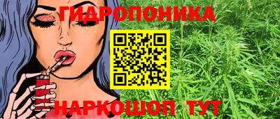 эйфоретик Можга